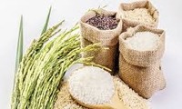  FAO dự báo Việt Nam thuộc tốp 5 nước có sản lượng gạo lớn nhất năm 2017