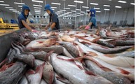 ไทยนำเข้าปลาสวายจากเวียดนามมากที่สุดในอาเซียน