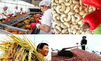 นำผลิตภัณฑ์การเกษตรเวียดนามเจาะตลาดที่มีมาตรฐานที่เข้มงวด