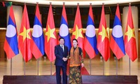 ประธานสภาแห่งชาติเวียดนาม เหงียนถิกิมเงิน พบปะหารือกับนายกรัฐมนตรีลาว