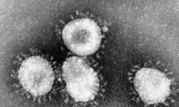 องค์การอนามัยโลกหรือ WHO เฝ้าติดตามไวรัส Corona สายพันธุ์ใหม่