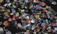 ปัญญาชนรุ่นใหม่อาเซียนและญี่ปุ่นเสนอแนวคิด 13 ข้อเพื่อลดขยะพลาสติกในทะเล