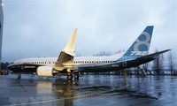 FAA finds new problem of Boeing 737 MAX