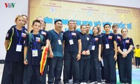 International Festival of Vietnam Martial Arts opens in Binh Dinh