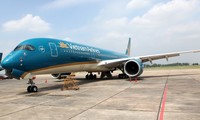 Vietnam Airlines cuts Vietnam-Europe flights