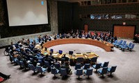 UN Security Council adopts Vietnamese resolution