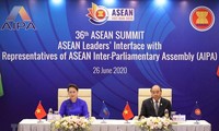 Vietnam mirrors ASEAN’s ideals, values