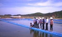 Vietnamese hard clams become world first to win ASC certificate
