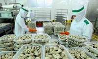 Vietnam's bivalve molluscs exports to the EU increase sharply