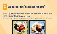 Vietnam issues stamp collection featuring indigenous chickens