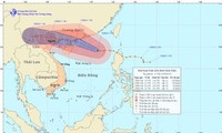 Ngày 17/8, bão số 5 cách Móng Cái (Quảng Ninh) khoảng 390km 