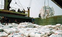 Xuất khẩu gạo năm 2012 có thể đạt 7,5 triệu tấn 