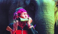 Huyền thoại săn voi - Ama Kông vĩnh biệt cõi trần