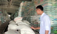 Xuất khẩu gạo đạt 6,622 triệu tấn 