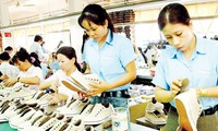 Tổng quan doanh nghiệp Việt Nam 10 năm qua: Doanh nghiệp nhỏ tăng và càng siêu nhỏ