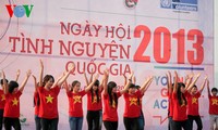 Sôi động Ngày hội Tình nguyện Quốc gia năm 2013 