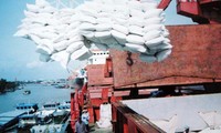 Việt Nam cam kết đóng góp 14.000 tấn gạo mỗi năm cho Quỹ trữ gạo khẩn cấp ASEAN +3 