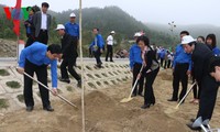 TW Đoàn TNCS HCM phát động Tết trồng cây tại khu mộ Đại tướng Võ Nguyên Giáp
