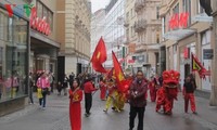 Khai mạc Ngày văn hóa Việt Nam tại Brno – CH Séc