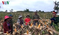 Việt Nam nỗ lực thực hiện các biện pháp giảm nghèo bền vững