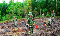 Thành lập Hội hỗ trợ khắc phục hậu quả bom mìn Đà Nẵng