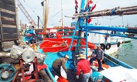 Ngư dân Khánh Hòa ra khơi đón Tết trên biển