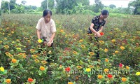 Xã Tuy Lộc, tỉnh Yên Bái, duy trì và nâng cao chất lượng các tiêu chí nông thôn mới