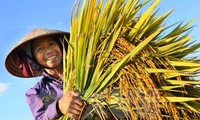Công bố danh sách 63 nông dân Việt Nam xuất sắc năm 2016 