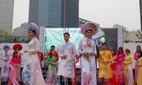 Lễ hội Văn hóa Việt Nam, Ngày Lao động Việt Nam tại Hàn Quốc 