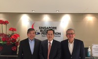 Cơ hội hợp tác Việt Nam - Singapore trong bối cảnh mới 