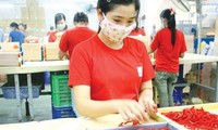 Động lực cho kinh tế tư nhân phát triển