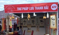 Khai mạc Lễ hội giao lưu văn hóa Việt - Nhật 2017