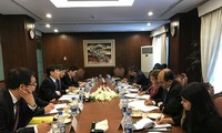 Kỳ họp Tham khảo Chính trị lần thứ hai giữa Việt Nam và Pakistan
