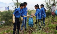 Gần 500 đoàn viên, thanh niên tham gia Chiến dịch Biển Việt Nam xanh 