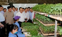 Thủ tướng thăm mô hình nông nghiệp sạch tại Lâm Đồng