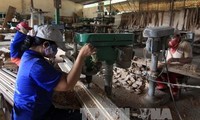 Đồ gỗ Việt Nam chinh phục 120 quốc gia và vùng lãnh thổ