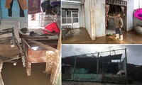 UNDP hỗ trợ khẩn cấp cho người dân bị ảnh hưởng bởi bão lụt ở miền Trung Việt Nam