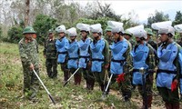 Việt Nam nỗ lực cùng cộng đồng quốc tế khắc phục hậu quả bom mìn