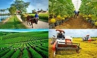 Hợp tác đào tạo và phát triển nguồn nhân lực nông nghiệp, nông thôn