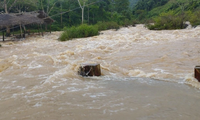 UNDP kêu gọi hỗ trợ Việt Nam trong cảnh báo sớm để giảm thiểu thiệt hại do thiên tai