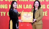 Phó Chủ tịch nước Võ Thị Ánh Xuân trao quà cho gia đình chính sách, công nhân khó khăn tại Thái Bình