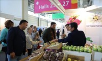 Xúc tiến xuất khẩu rau quả Việt Nam tại Hội chợ Fruit Logistica 2024