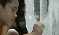 Hội Người Việt Nam tại Pháp – Chi Hôi Rhône tổ chức chiếu bộ phim "Bi, đừng sợ"