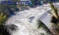 Việt Nam sẵn sàng giúp Nhật Bản khắc phục hậu quả động đất, sóng thần