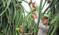 Quảng bá nông sản Việt Nam tại Nga