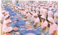 Áp thuế chống bán phá giá đối với cá tra của Việt Nam là không công bằng 