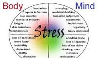 Một số biện pháp cơ bản nhằm giảm chứng stress