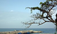 Cồn Cỏ - hòn đảo xanh nơi tiền tiêu Tổ quốc