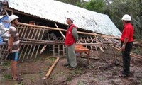 Hội Chữ thập đỏ Việt Nam hỗ trợ người dân vùng bão