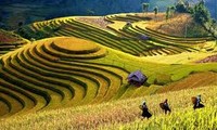 Ôn tập từ vựng và ngữ pháp tiếng Việt